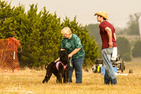 Lure Course AKC Specials Stake Run 2 Vickie Fagre-Stroetz Kirat 2Y & Deborah Bahm Ann Sterner Tweet 2P