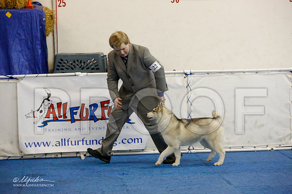 _M3_8804-AddisonHuskyMar2015-HR3