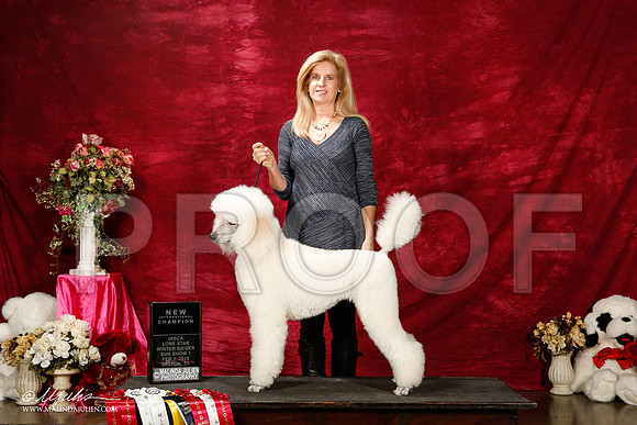 _ST_3003-2-BeltonJan2015IABCA-HR3