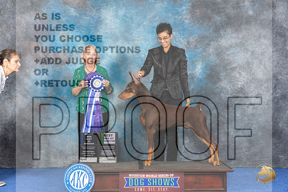 Doberman #11 WED WD BOW BBB M Judge Alisa Brotherhood__JP_6679_Houston_2024_HR3