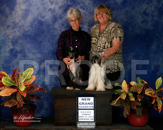 CC-9493-NormNov2013-HR