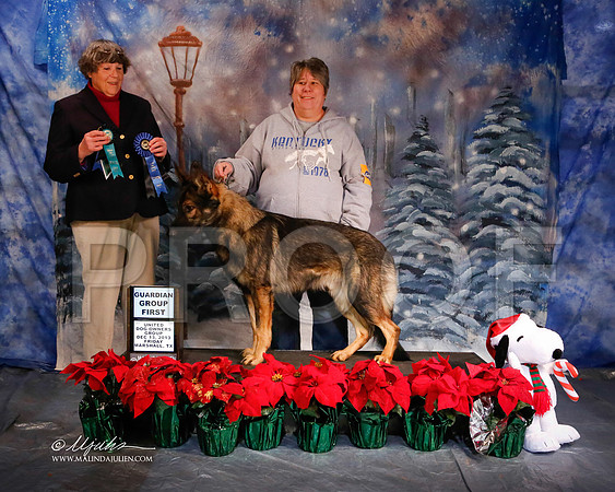 GSD-5869-MrshlDec13-HR
