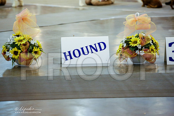 _JJ_5915-HstnJul2014-HR3