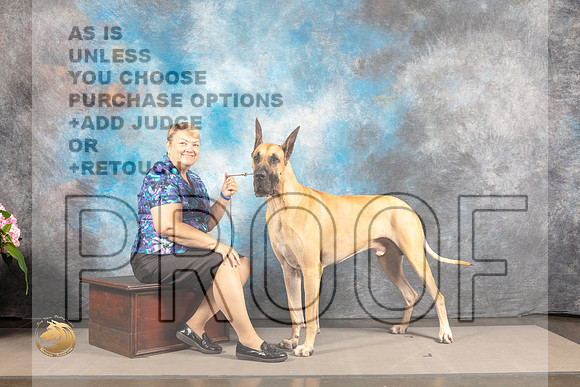 Great Dane #11 SAT CUSTOM_MJ_6260_Houston_2022_HR3