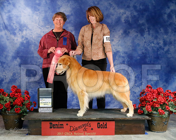 GunDog-9090-WFOct2013-HR