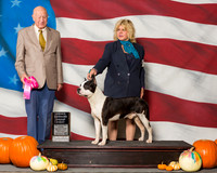 American Staffordshire Terriers #15 Sat OH G1 Menec Pamela Marie Judge Mr Ralph J Ambrosio