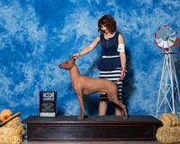 Xoloitzcuintli #7 Fri Maj BOW Caliente Criadero Judge Mrs Carolyn A Herbel