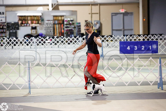 _JJ_2283-SanAntonioJul2014-HR