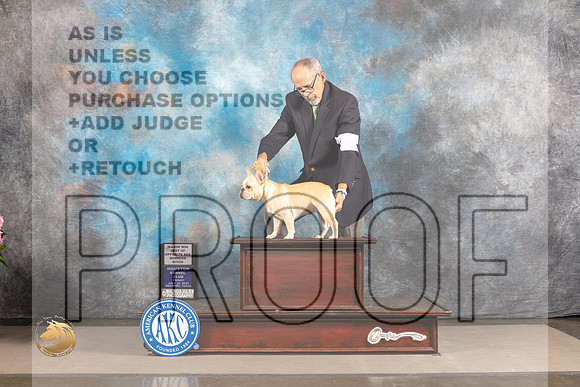 French Bulldog #? FRI WB BOS Major Judge Steven Keating_MJ_5329_Houston_2022_HR3