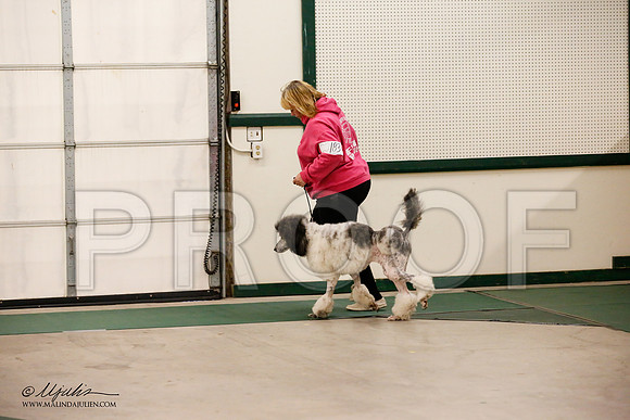 _JN_0953-NrmnNov2014-HR3