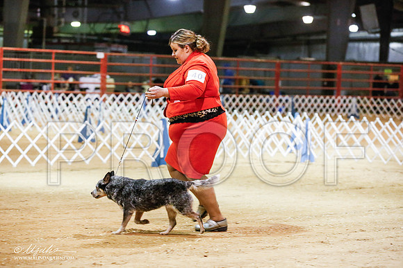 _JN_4995-2-GlenRoseJan2015-HR3