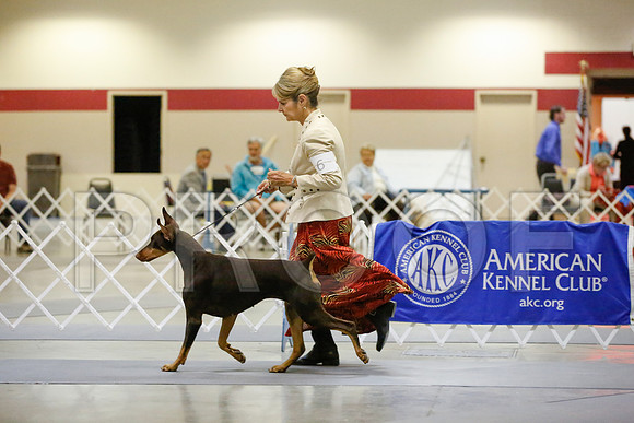 _JN_6594-AmarilloSept2014-HR3