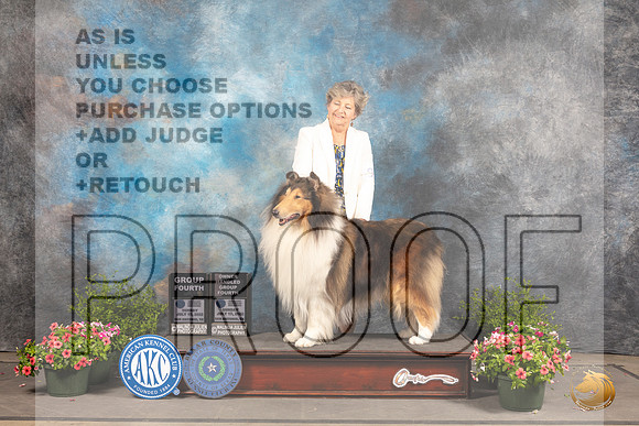 Collie Rough #9 Sun BOVG4 Judge Robert Shreve OHG4 Judge Allen Odom_MJ_1489_SA_2022_HR3