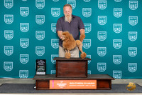 Poodle Miniature #193 Sun BFCH Judge Pamela Perdue