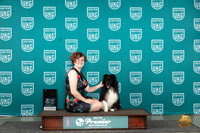 Shetland Sheepdog #613 Sat RACE RACEA