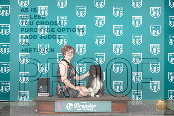 Shetland Sheepdog #613 Sat RACE RACEA__JP_2973_Premier_2024_HR3