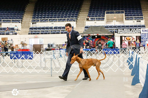 _JJ_0103-AblnMay2014-web
