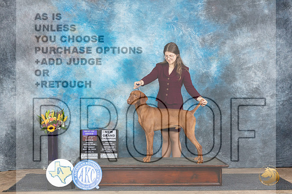 Vizsla #5 Sat BOBOHBOBGCH Judge Sharol Candace Way__JP_9761_Abilene_2024_HR3