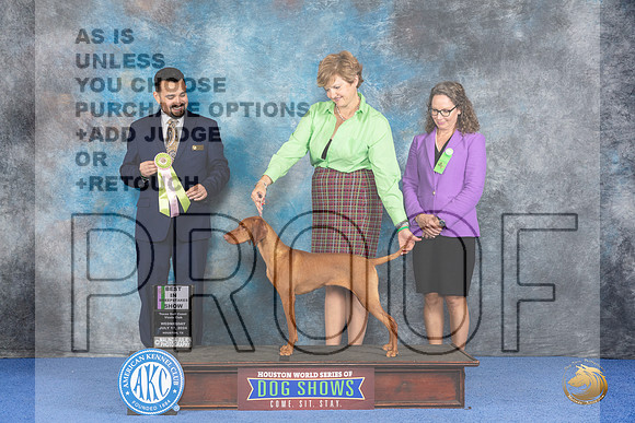 Vizsla #12 Wed PBISweeps Judge Joao Machado__JP_7425_Houston_2024_HR3