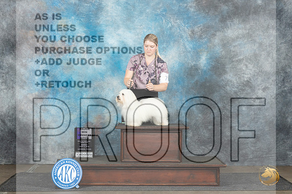 Coton #14 Mon WDM Judge David Bolus__JP_4395_Lubbock_2024_HR3