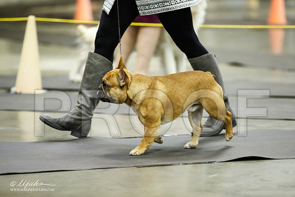 _JJ_5554-BeltonJan2015IABCA-HR3