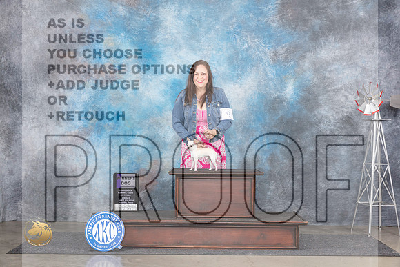 Chihuahua Smooth #9 Fri WD Judge Denise Dean__JP_5290_Amarillo_2024_HR3