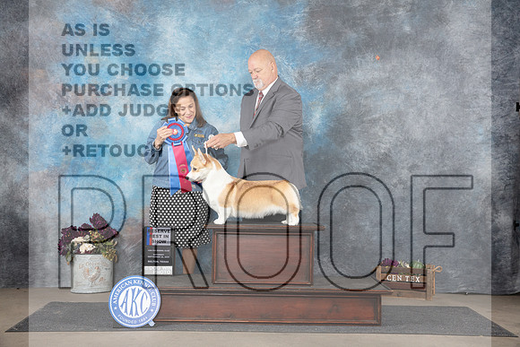 Pembroke Welsh Corgi #6 RBIS Judge Joan Liebes__JP_7512_Belton_2024_HR3