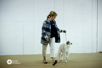 Altered Best in Show Sat Ring S1