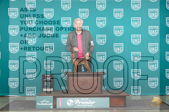 Miniature Pinscher #1017 Thur T10 Judge Sharon Griffin__JP_0850_Premier_2024_HR3
