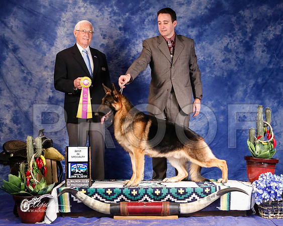 GSD-0384-GRJan14-HR
