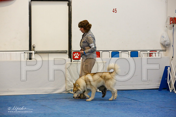 _M3_7951-AddisonHuskyMar2015-HR3