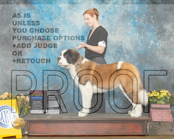 St Bernard #6 Sat BOWBOSNChOHBOB Judge John Ramirez-MMJ_0814-NWARK2022-HR3