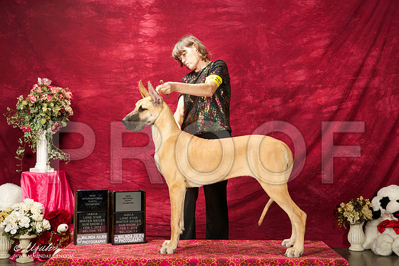 _ST_2939-BeltonJan2015IABCA-HR3