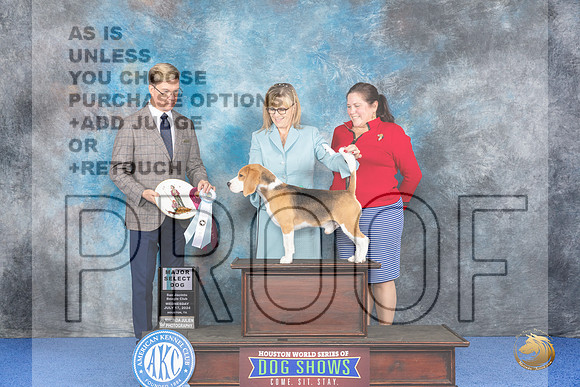 Beagle 15 #11 WED SD Judge Douglas Johnson__JP_6567_Houston_2024_HR3