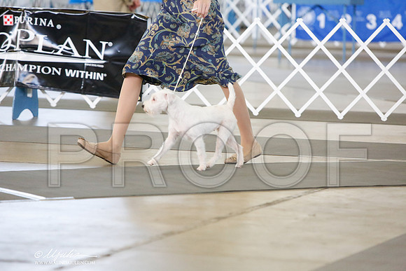 _JJ_8007-DallasJul2014-HR3