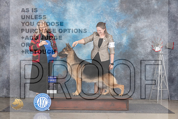 German Shepherd Dog #5 Thurs G1 Judge Denise Dean__JP_5033_Amarillo_2024_HR3