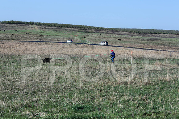 MJ2_2031-TlsaApr2014-HR