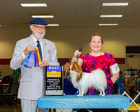 Papillons #7 Sun BOB Mckee Sanchez Colleen Agent Colleen Mckee Sanchez Judge Dr Dale D Simmons