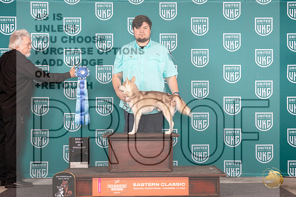 Alaskan Klee Kai # Thur BM Judge Tony Raposo__JP_1778_UKCEastern_2024_HR3