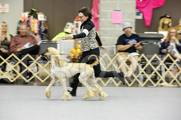 _JJ_8117-AfgBeltonOct2014-HR3