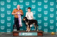 LCLD #642 BIS Judge Rick Gann