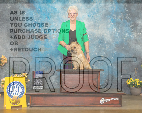 Cairn Terrier #11 Thur WDBOWBOS Judge Carol Jean Nelson-MMJ_8862-NWARK2022-HR3