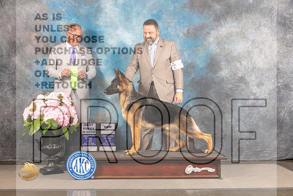 German Shepherd Dog #33 FRI BCH Judge?_MJ_5885_Houston_2022_HR3