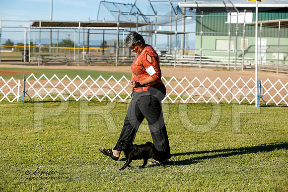 _JN_0217-AlamogordoOct2014-HR3