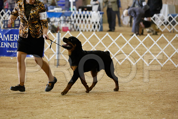 Rott-9219-HstnNov13-HR