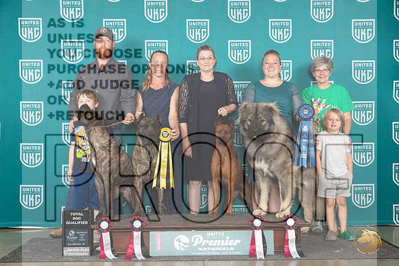 Cane Corso Thai Ridgeback Ovcharka Group TD Sat__JP_2757_Premier_2024_HR3