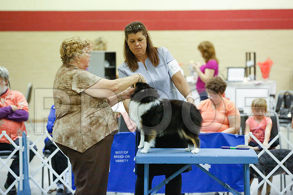 _JN_0935-AmarilloSept2014-HR3