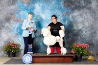 Standard Poodle #26 Fri WBCH Judge Christie Martinez