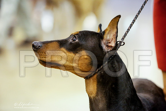_JJ_6860-HstnJul2014-HR3