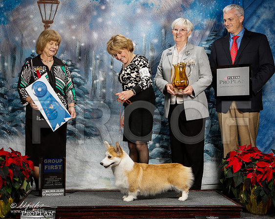 _ST_8789-2-DallasDec2014-HR3